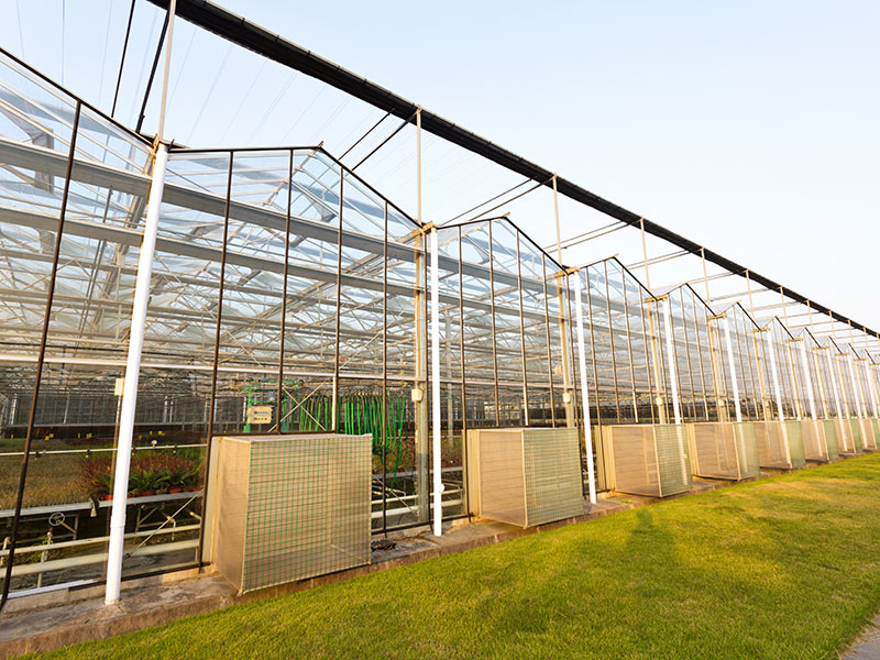 溫室大棚的原理是什么？